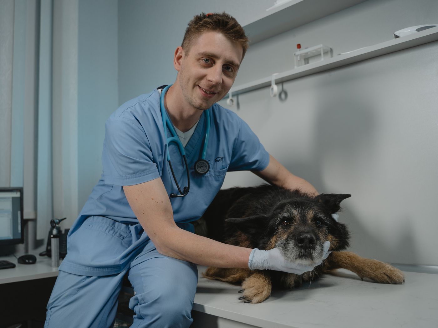 A veterinarian with a patient in a consulting room