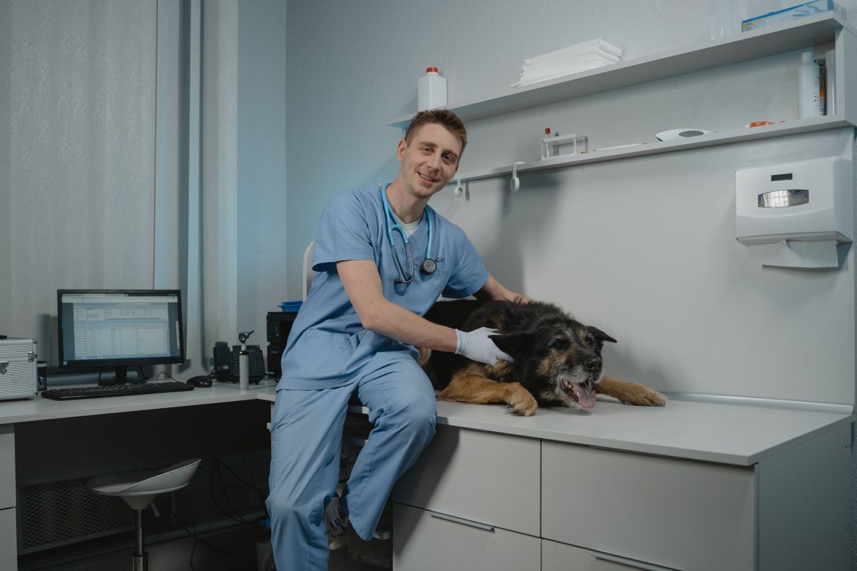 Veterinarian in blue scrubs sitting beside a large black and tan dog lying on a clinic exam table