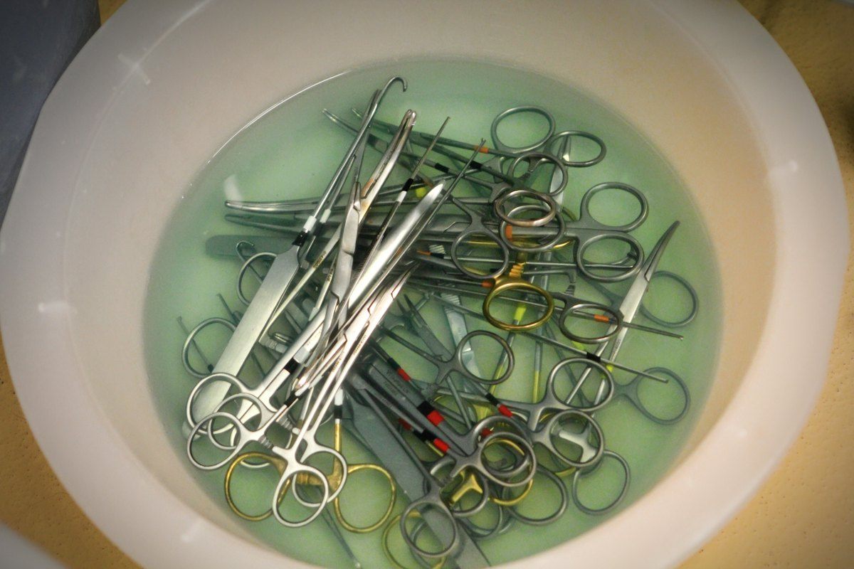 Veterinary surgical scissors and hemostats soaking in a bowl of disinfectant during clinic surgical prep